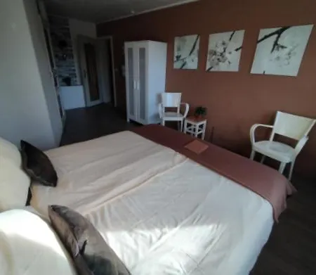 Hotel Am Vulkanberg فندق *